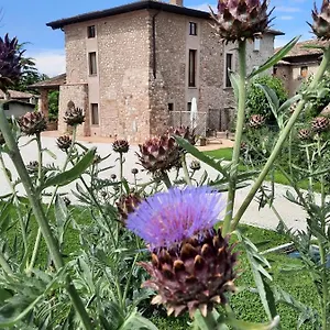 https://corte-davini-agriturismo.it-lombardy.com